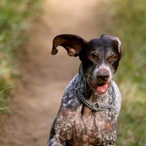 Meet your Posher, Stephen